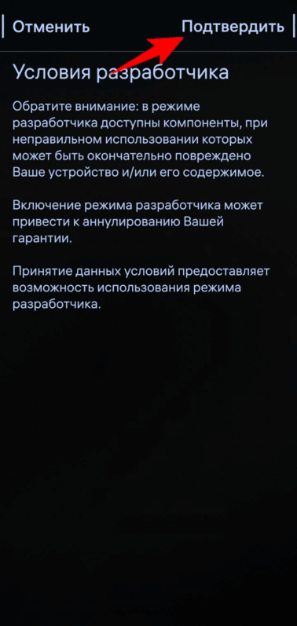 Принятие условий разработчика