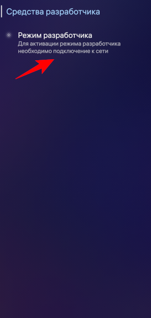 Выбор режима разработчика