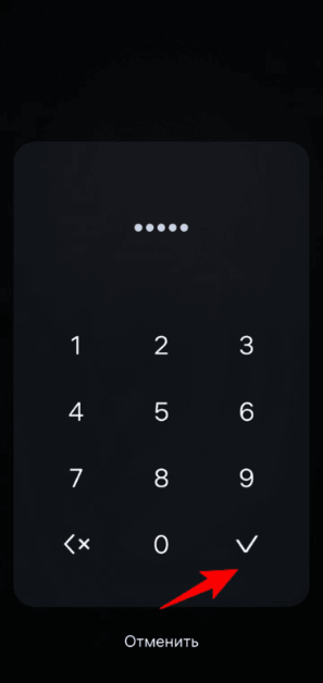 Ввод пароля