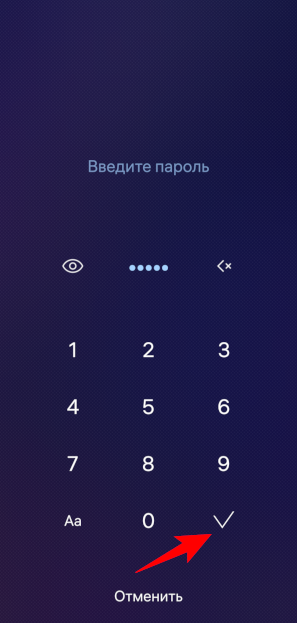 Ввод пароля