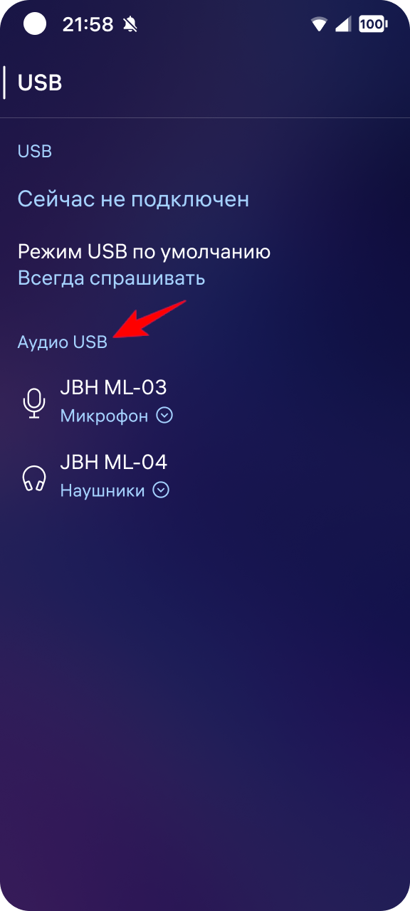Аудио USB